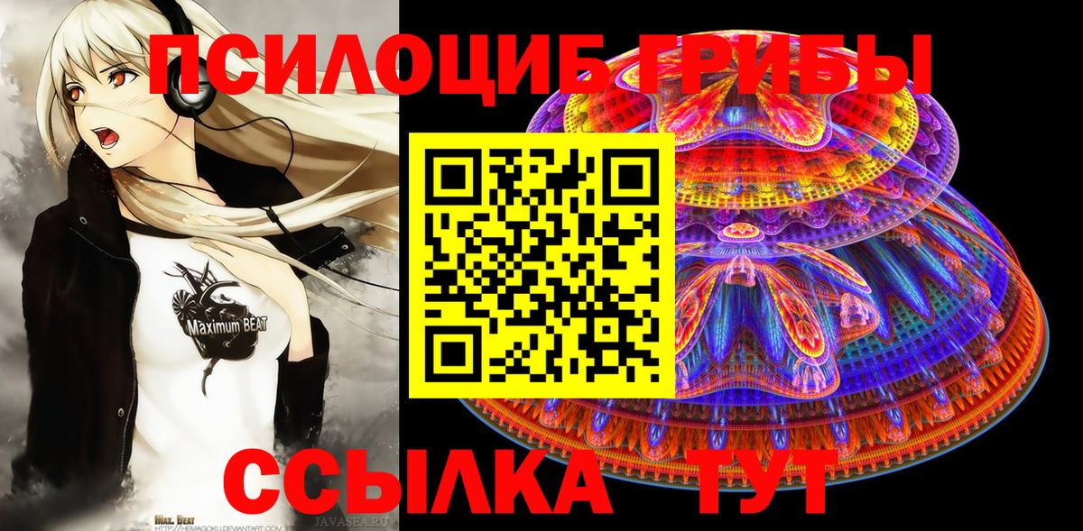 Галлюциногенные грибы Cubensis Чита