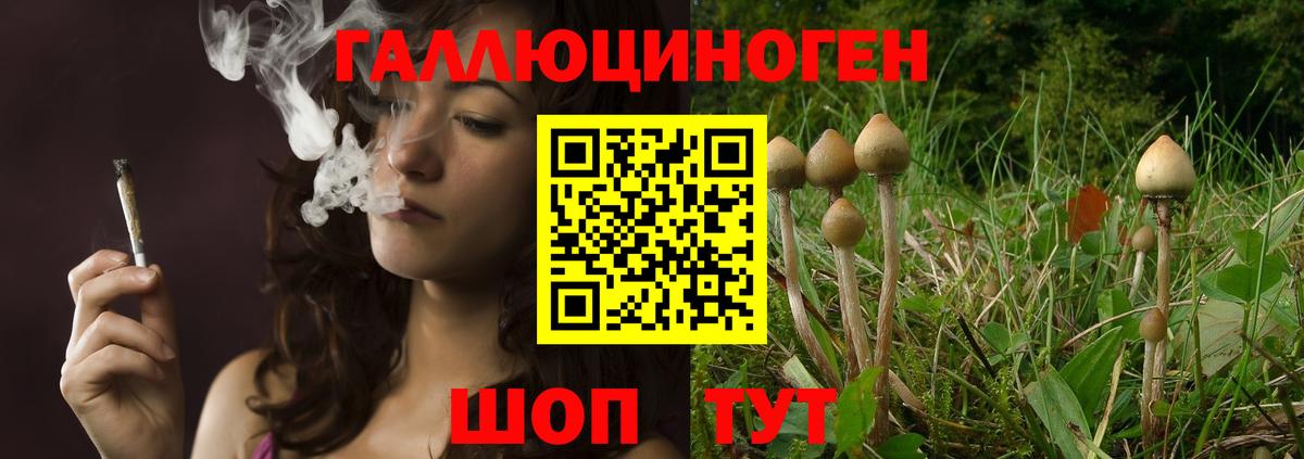 Галлюциногенные грибы Magic Shrooms  Вход с VPN  Чита 